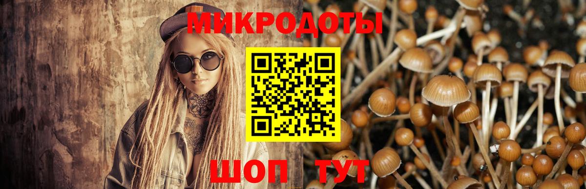Псилоцибиновые грибы мицелий Ржев